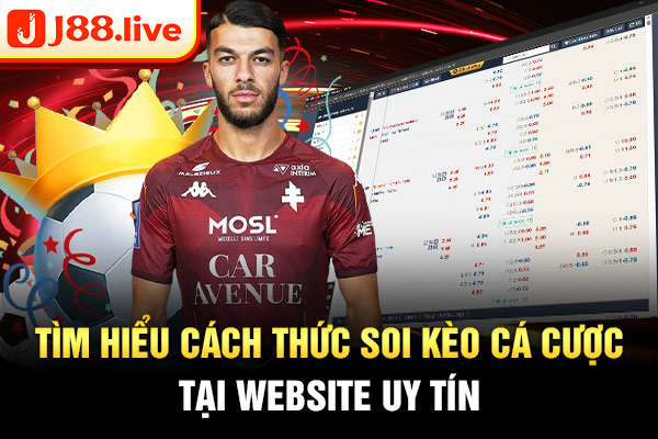 Tìm hiểu cách thức soi kèo cá cược tại website uy tín